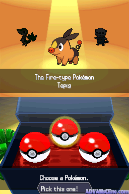 Pokemon Black screenshot 3 for Nintendo DS